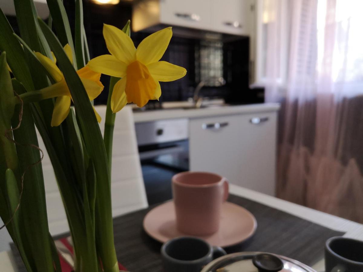 La Casaffittiera Group Holiday home Anzio