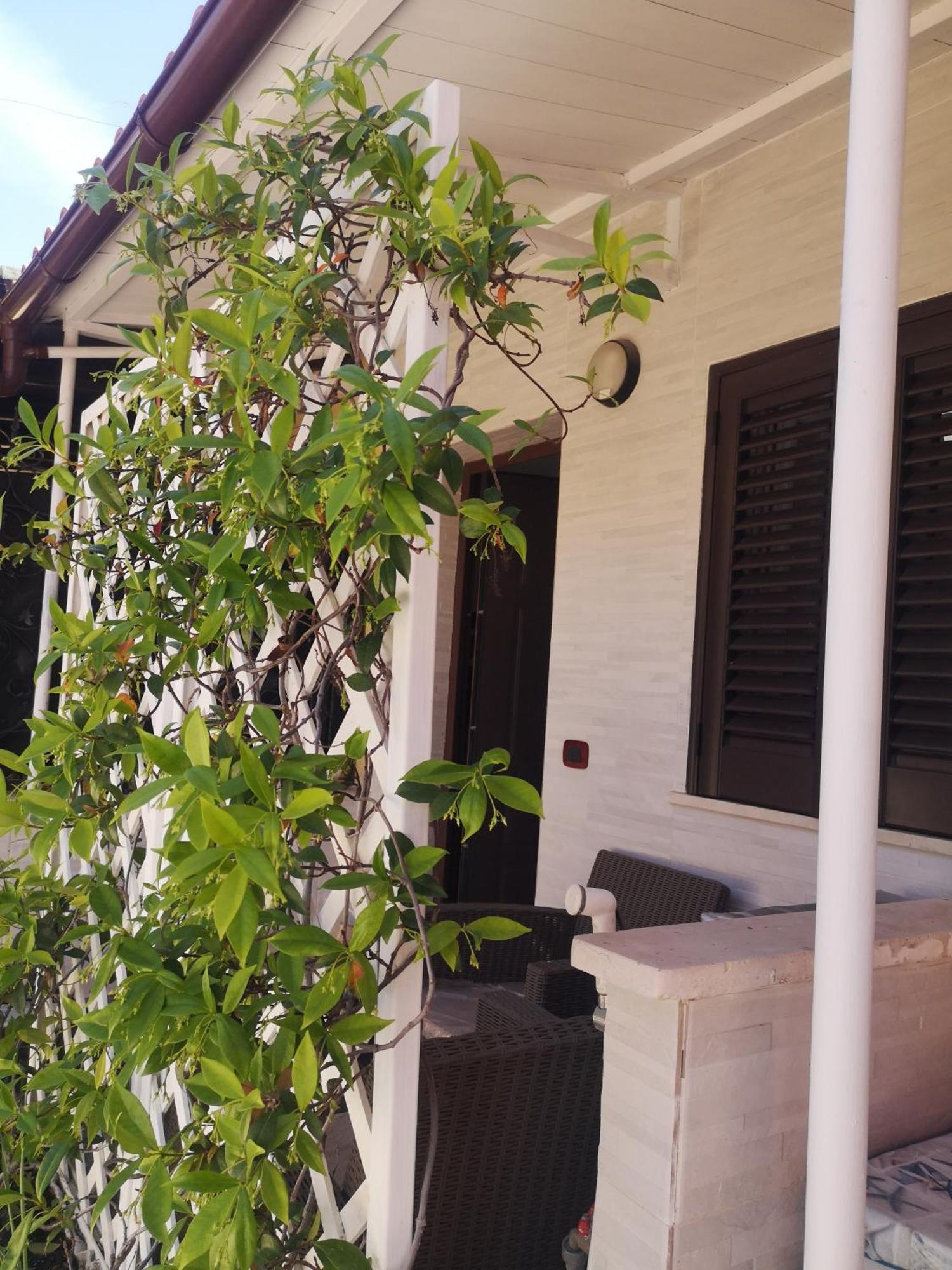 Holiday home La Casaffittiera Group *